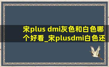 宋plus dmi灰色和白色哪个好看_宋plusdmi白色还是灰色好看